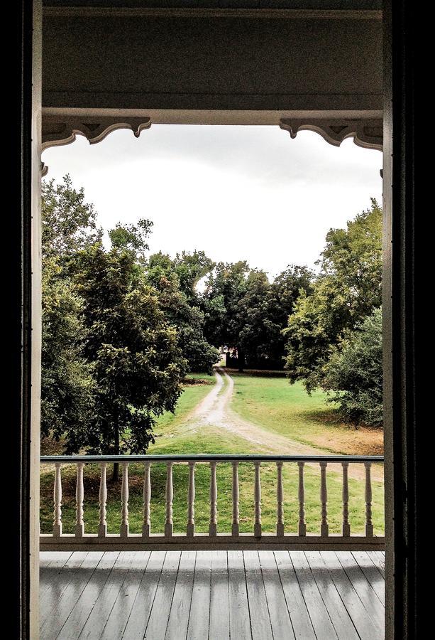Bed and Breakfast Belmont Plantation, Est 1857 à Greenville Extérieur photo